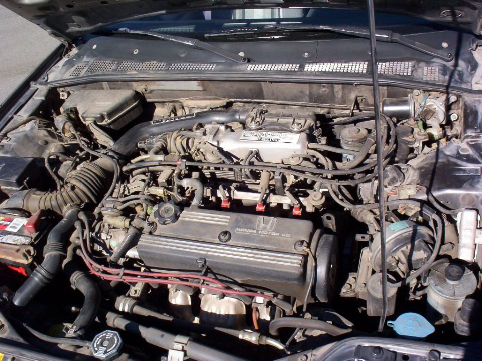 2.0L of fury!