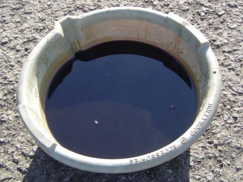 1986 Honda Accord - That is NOT motor oil! That is really old trans fluid. Never let your trans fluid get that dirty. Ever.