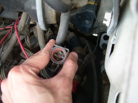1988 Ford Bronco - Close-up of a hand holding an engine wiring harness connector, revealing its internal pins and surrounding wires.