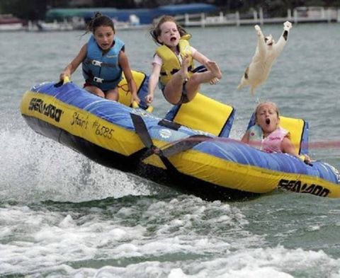 1972 Ford Ranchero - A cat takes flight as children ride on a Sea-Doo inflatable tube on the water.