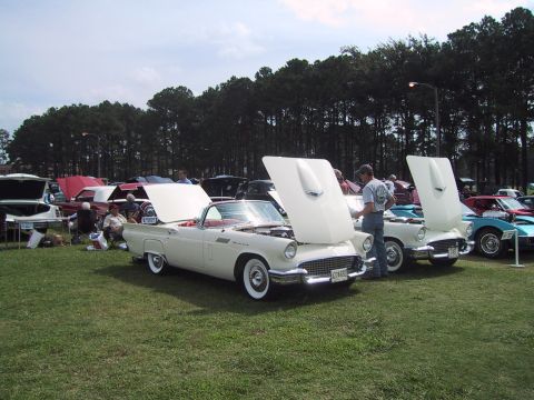 1968 Shelby GT500 - White 1957 Ford Thunderbirds displayed with hoods open at a car show event.