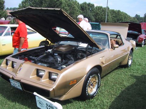 1968 Shelby GT500 - A gold 1977-1981 Pontiac Firebird Trans Am is displayed with its hood open at an outdoor car show.