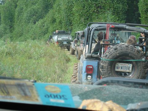 1996 Ford Bronco - A convoy of off-road vehicles navigates a grassy trail bordered by dense foliage.