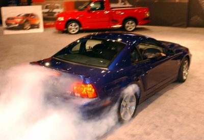 2003 Ford Mustang “2003 SVT Ford Mustang”