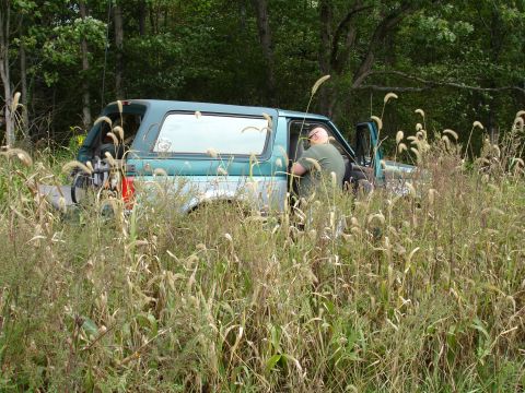 1996 Ford Bronco - Man enters a 1996 Ford Bronco partially obscured by tall weeds and trees.