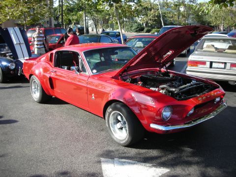 1992 Ford Crown Victoria - A red 1967 Shelby GT500 is parked with its hood open, alongside other vehicles.