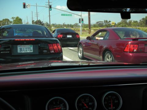 1992 Ford Crown Victoria - A line of Ford Mustangs are stopped at a traffic light on a sunny day.
