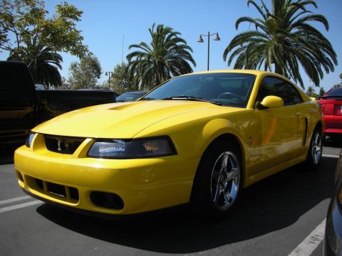 1992 Ford Crown Victoria - Yellow Ford Mustang with a Cobra emblem in the grille, parked outdoors on a sunny day.