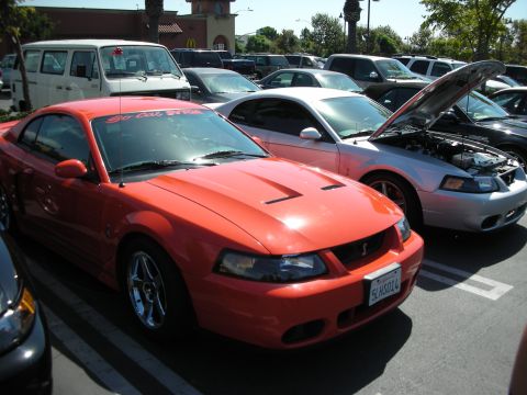 1992 Ford Crown Victoria - Two Ford Mustangs, one orange and one silver with its hood open, parked in a lot.