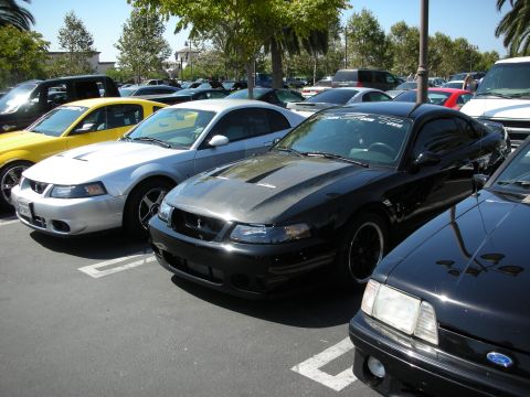 1992 Ford Crown Victoria - Several Ford Mustangs are parked in a lot under trees.