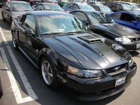1992 Ford Crown Victoria - A black Ford Mustang with a 'Mach 1' decal on the windshield is parked in a lot with other vehicles.