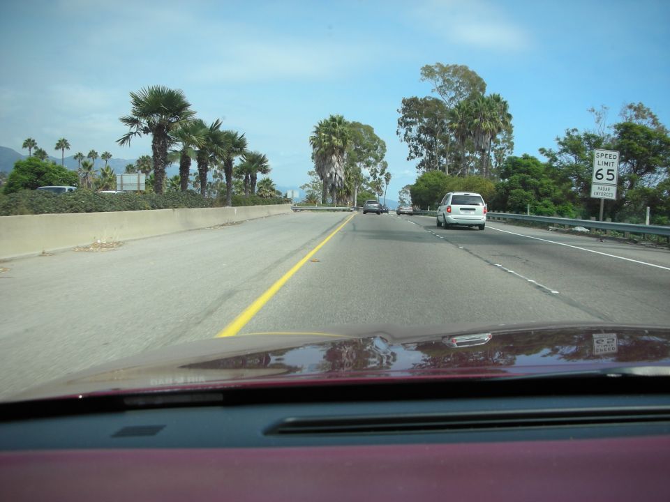 Driving on a sunny highway with palm trees and other cars. Speed limit sign shows 65
