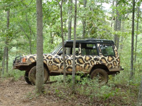 1996 Ford Bronco - This 1996 Ford Bronco sports a unique leopard print paint job while off-roading in the woods.
