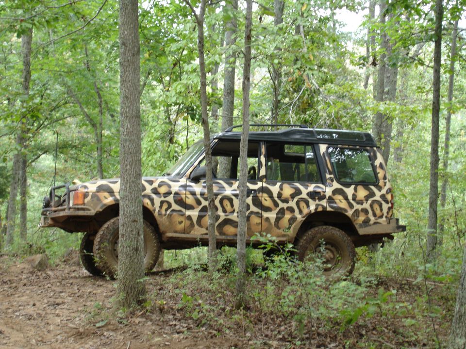1996 Ford Bronco with leopard print paint, parked on a dirt trail in a wooded area