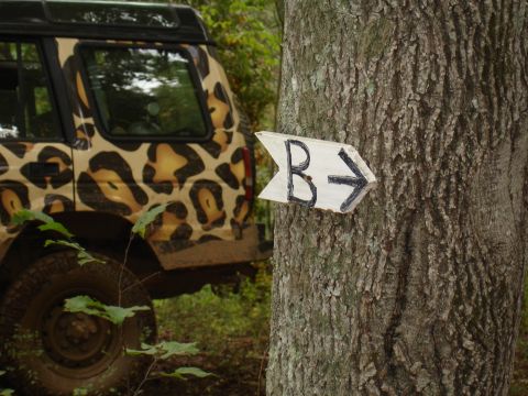 1996 Ford Bronco - A vehicle with a unique leopard print wrap is parked next to a tree with a directional sign.