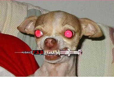 1979 Ford Bronco - A chihuahua dog holds a syringe in its mouth, with the letters 'FSB' clearly visible on the syringe.