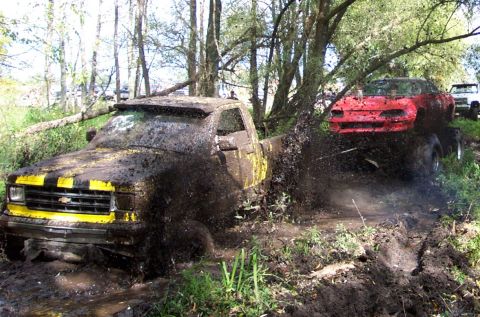 1978 Ford Bronco - Multiple vehicles navigate a challenging muddy course surrounded by trees and foliage.