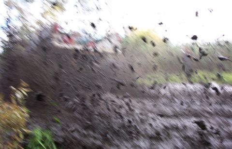 1978 Ford Bronco - The view through a heavily mud-splattered windshield shows a blurry outdoor scene with trees and sky.