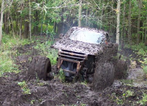 1978 Ford Bronco - This vehicle is deep in the mud, with trees and foliage surrounding it.