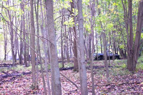 1978 Ford Bronco - A dark pickup truck is visible through trees in a wooded area.