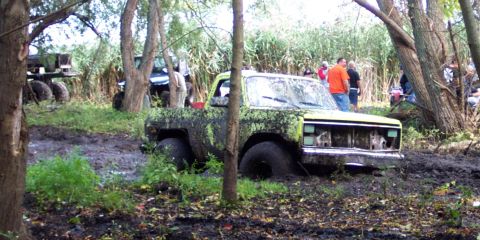 1978 Ford Bronco - A truck is stuck deep in the mud, surrounded by trees and onlookers. Another vehicle is visible in the background.