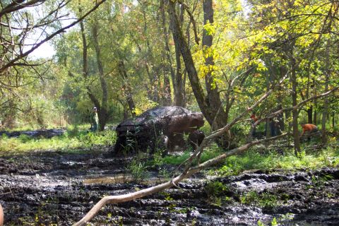 1978 Ford Bronco - A vehicle is deeply stuck in the mud and appears to be in a wooded area with several people nearby.