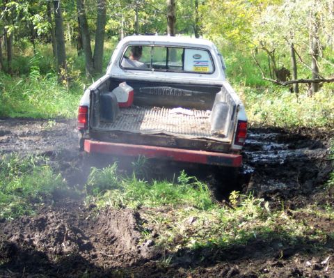 1978 Ford Bronco - A white pickup truck is stuck in thick mud, with trees and foliage surrounding it.