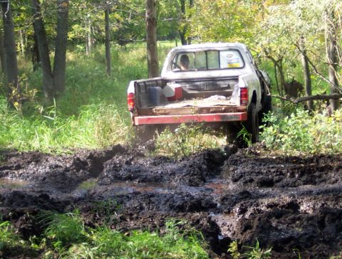 1978 Ford Bronco - A white pickup truck struggles to get through a muddy, wooded area.