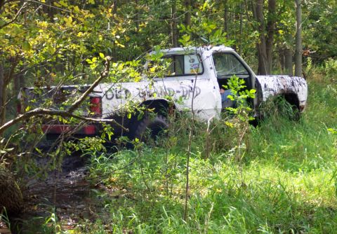 1978 Ford Bronco - This white pickup truck is overgrown with vegetation in a field, with 'OLD GRAND-DAD' visible on its side.