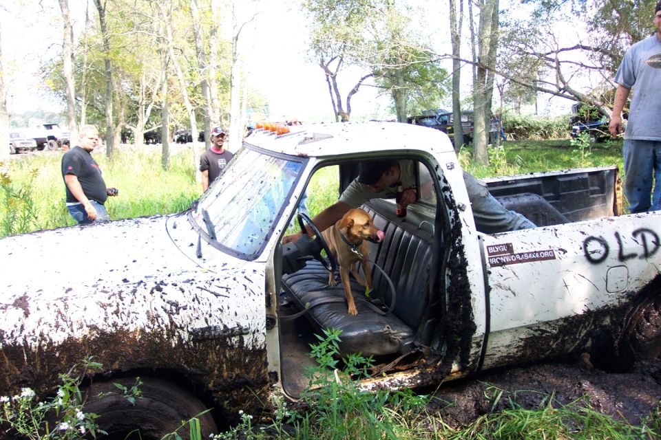 Mud-splattered white pickup truck with a dog in the driver's seat, stuck in mud