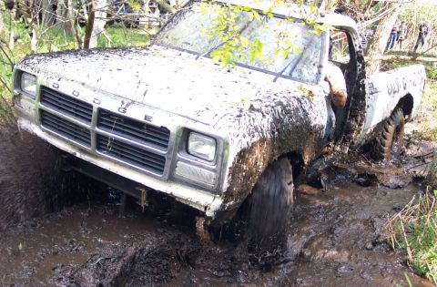 1978 Ford Bronco - This Dodge pickup truck is deeply stuck in a muddy off-road course, with branches obscuring the windshield.
