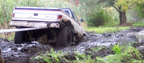 1978 Ford Bronco - A pickup truck is deeply stuck in thick mud, with a tow strap attached to its rear.