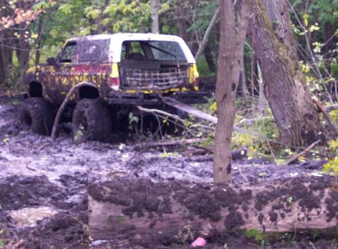 1978 Ford Bronco - This vehicle is deeply stuck in the mud and surrounded by trees in a wooded area.