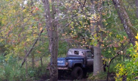1978 Ford Bronco - A blue Chevrolet pickup truck is seen off-road, surrounded by trees and foliage.