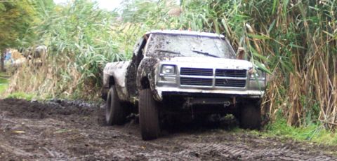1978 Ford Bronco - A white pickup truck is stuck deep in the mud, surrounded by tall reeds and vegetation.