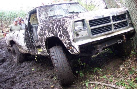 1978 Ford Bronco - This Dodge pickup is deeply stuck in the mud, with its front end angled against a tree.