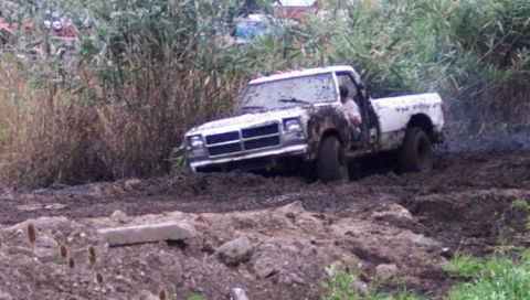 1978 Ford Bronco - A white pickup truck is stuck in thick mud with reeds and brush in the background.