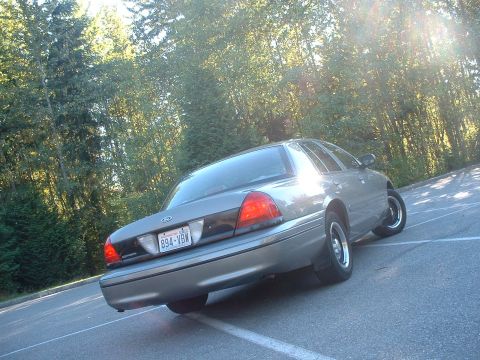 2000 Ford Crown Victoria - This 2000 Ford Crown Victoria is seen from the rear in a parking lot with trees in the background.