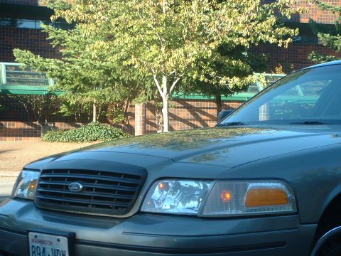 2000 Ford Crown Victoria - A gray 2000 Ford Crown Victoria is parked in front of a brick building with trees.