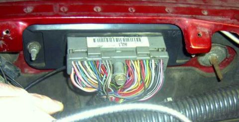 1997 Ford Taurus - Close-up view of a vehicle's engine control module, showing a complex wiring harness and a label with text.