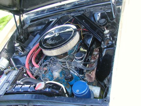 1967 Ford Ranchero - The engine bay of a 1967 Ford Ranchero reveals its V8 engine, complete with a chrome air cleaner and red hoses.