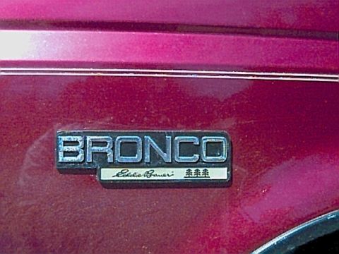 1994 Ford Bronco - Eddie Bauer