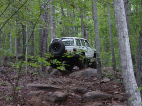 1991 Ford Bronco - A white SUV tackles a challenging rocky path through a dense forest, its off-road capabilities.