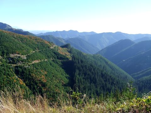 1997 BMW F650 “Funduro”
