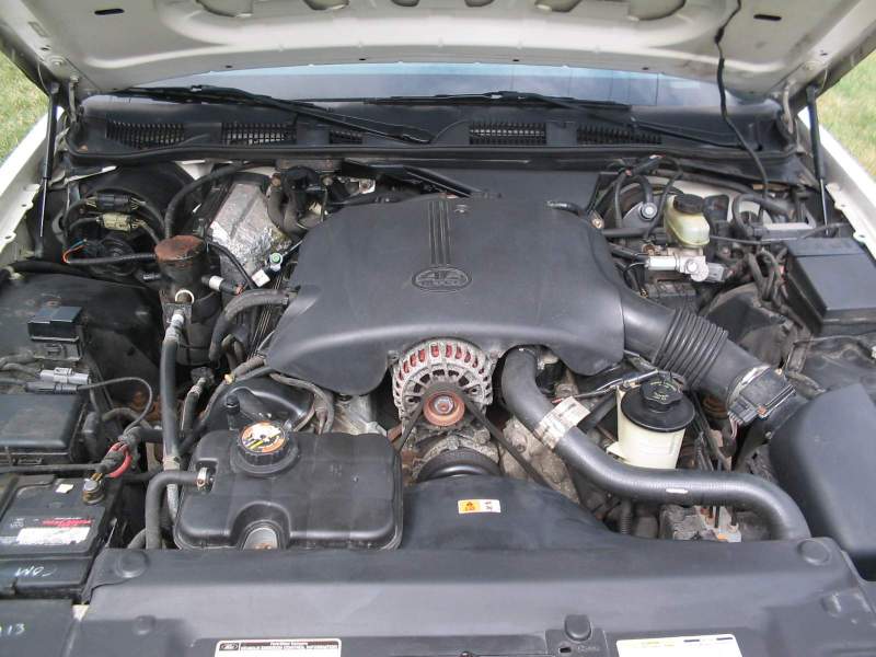 Engine bay of a Ford Crown Victoria, showing the V8 engine and various components
