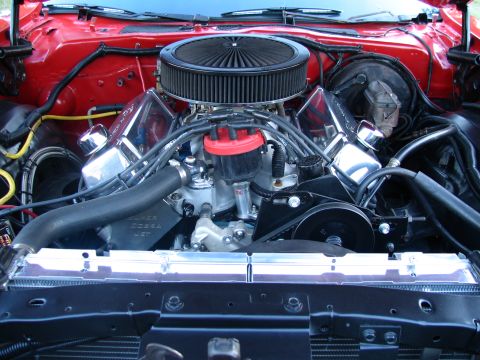 1976 Ford Torino photo