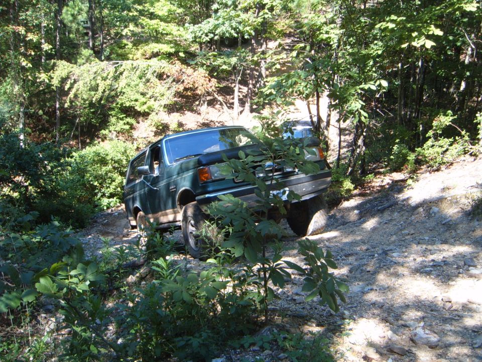 Green 1988 Ford Bronco on a wooded trail