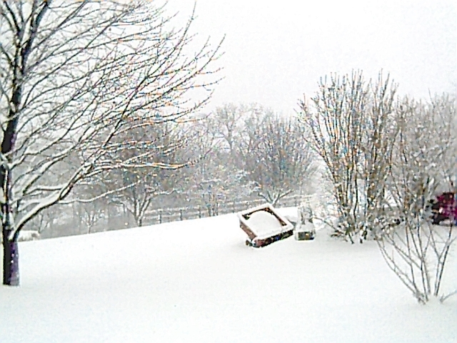 Snow-covered yard with bare trees and a small snowed-over vehicle in the distance