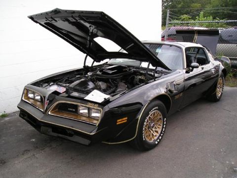 1994 Pontiac Firebird “wrpspd”