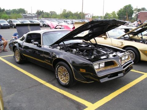 1994 Pontiac Firebird “wrpspd”
